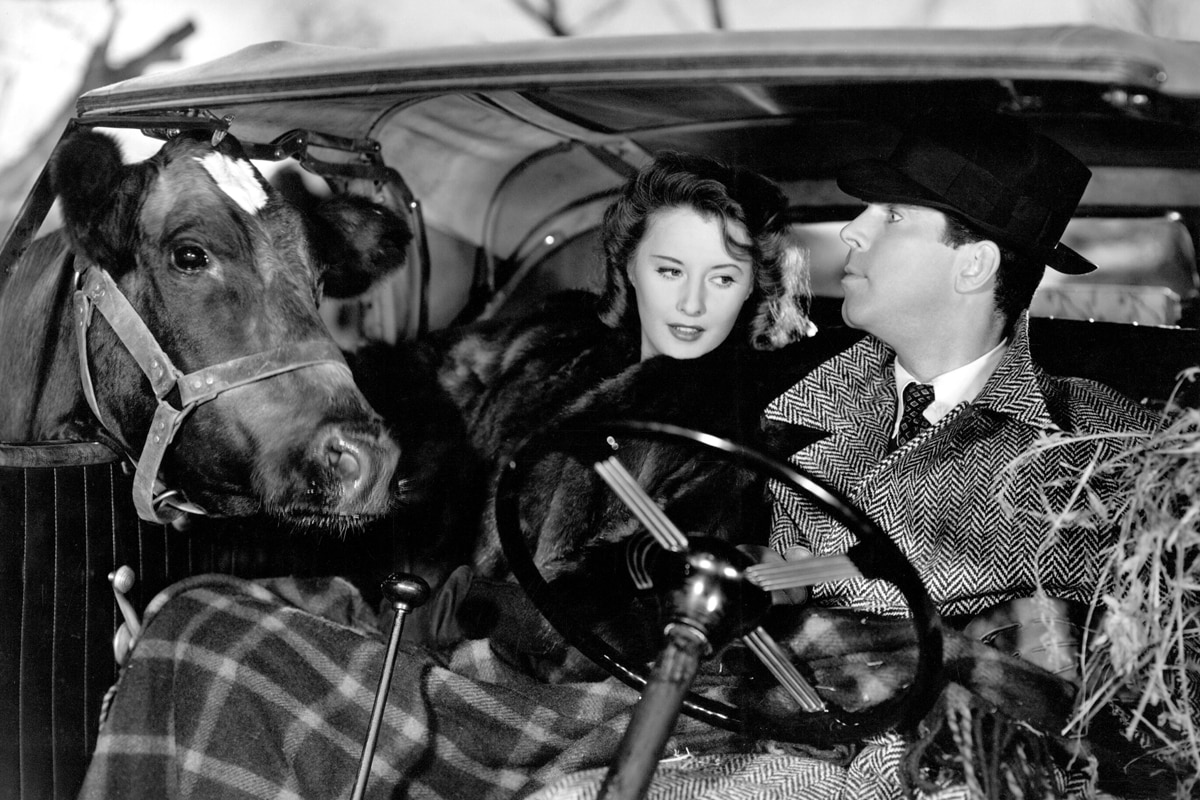 Remember the Night 1200x500