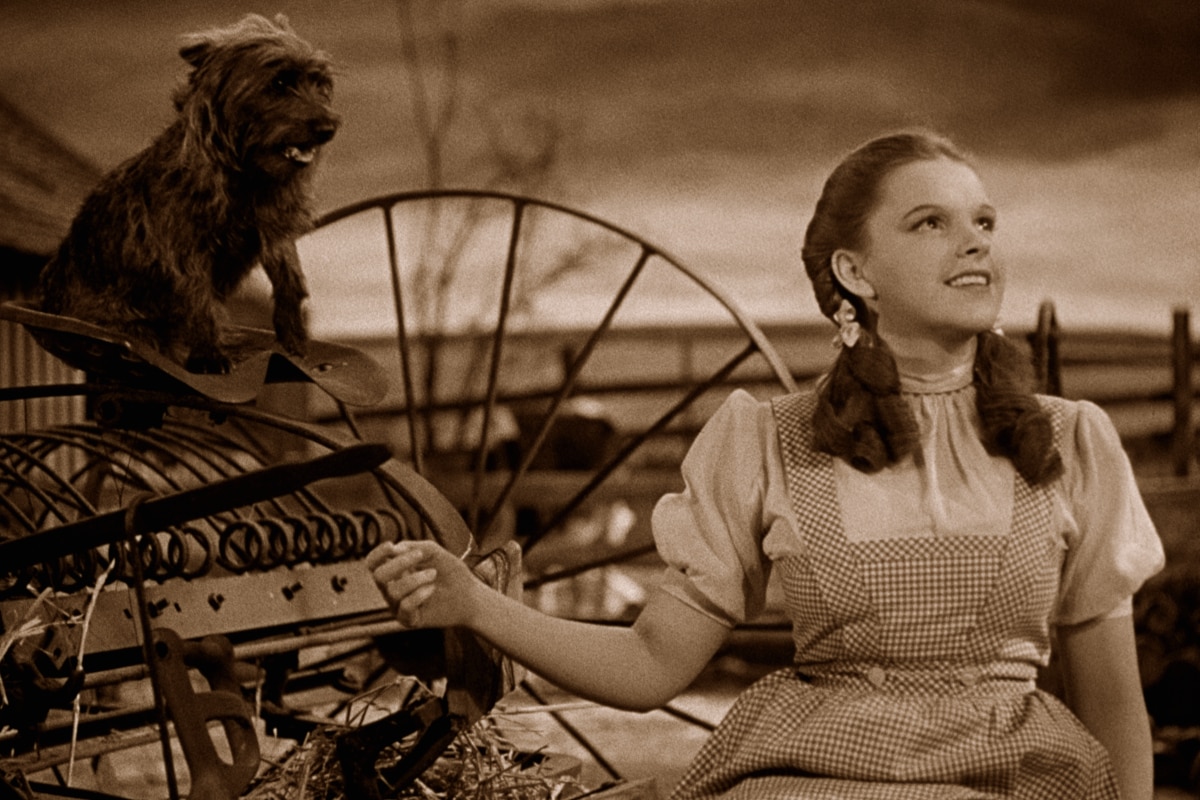 Wizard of Oz - Dorothy 
