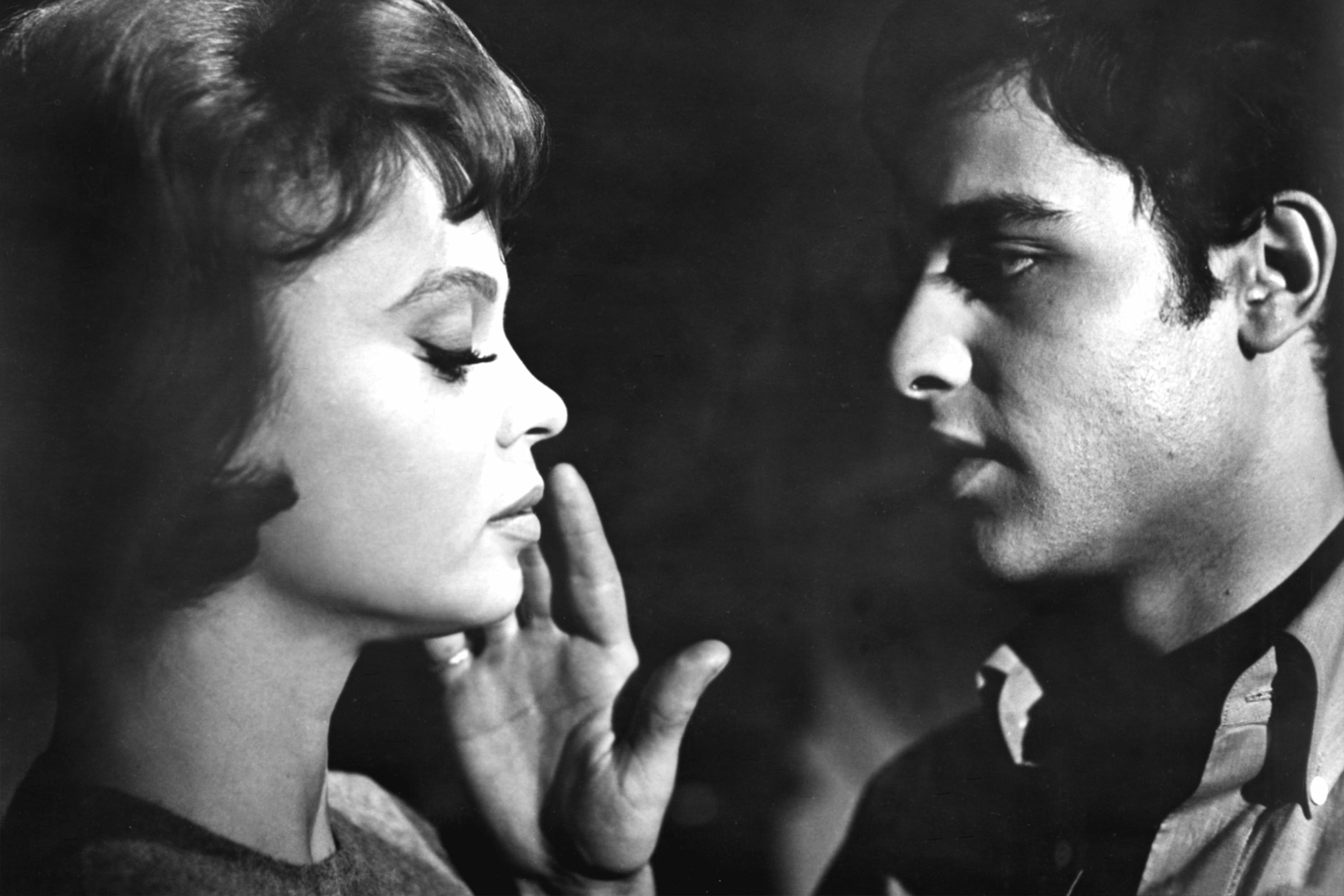 who killed teddy bear? 3000x2000