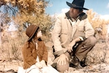 Shoot Out 1971