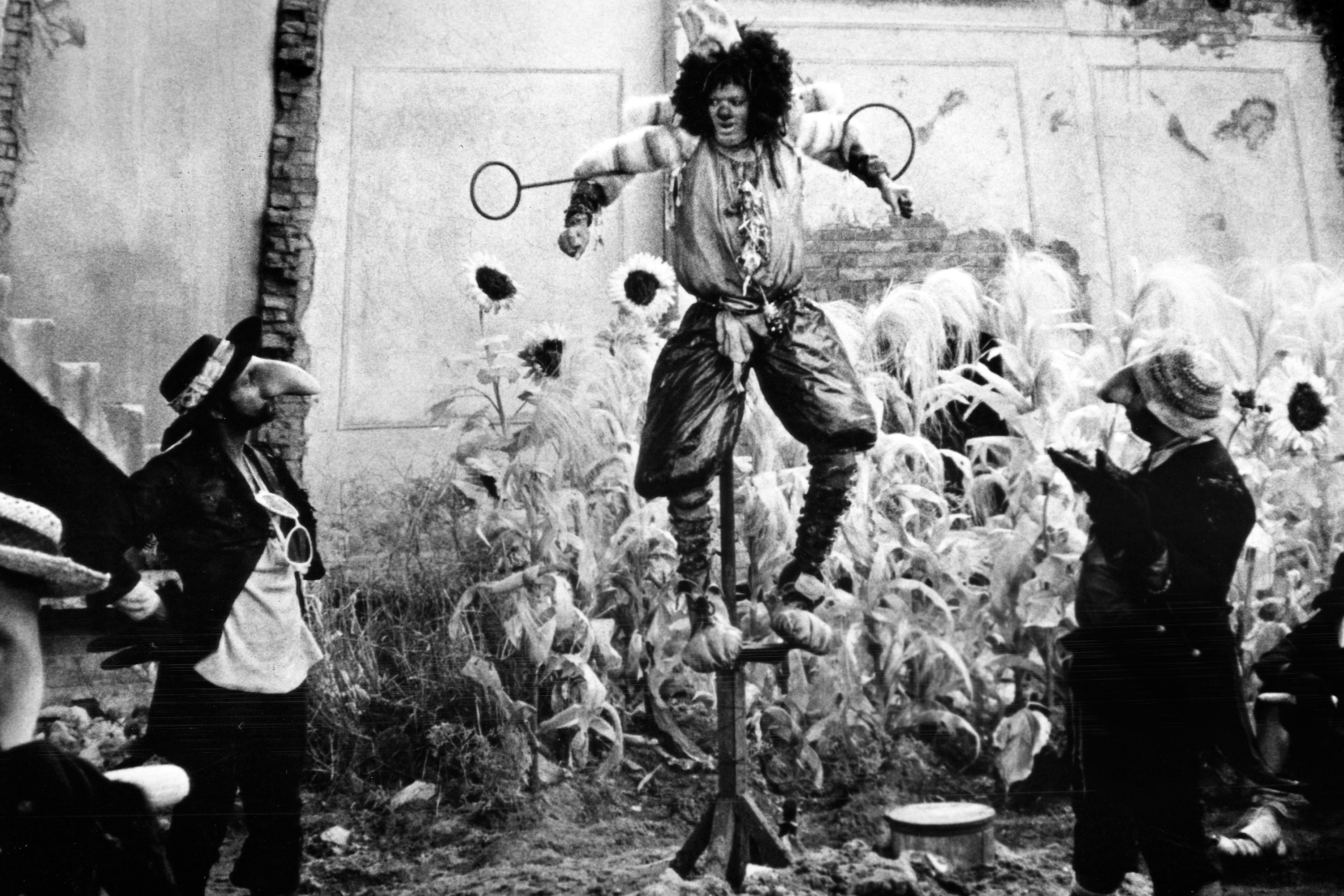 The Wiz You Can't Win 