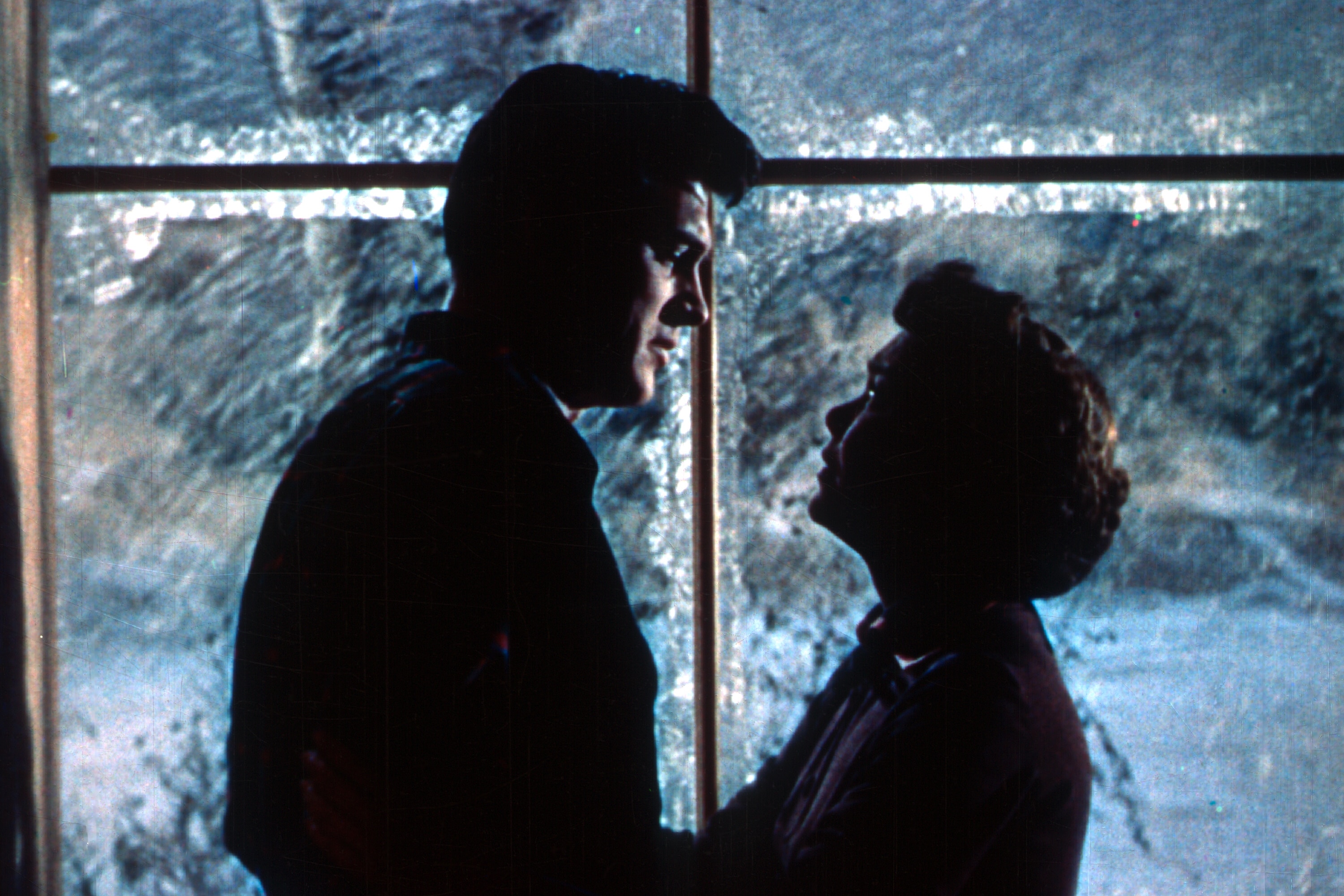 All That Heaven Allows window 