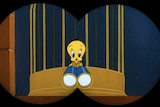 Canary Row