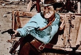 Return of the Gunfighter