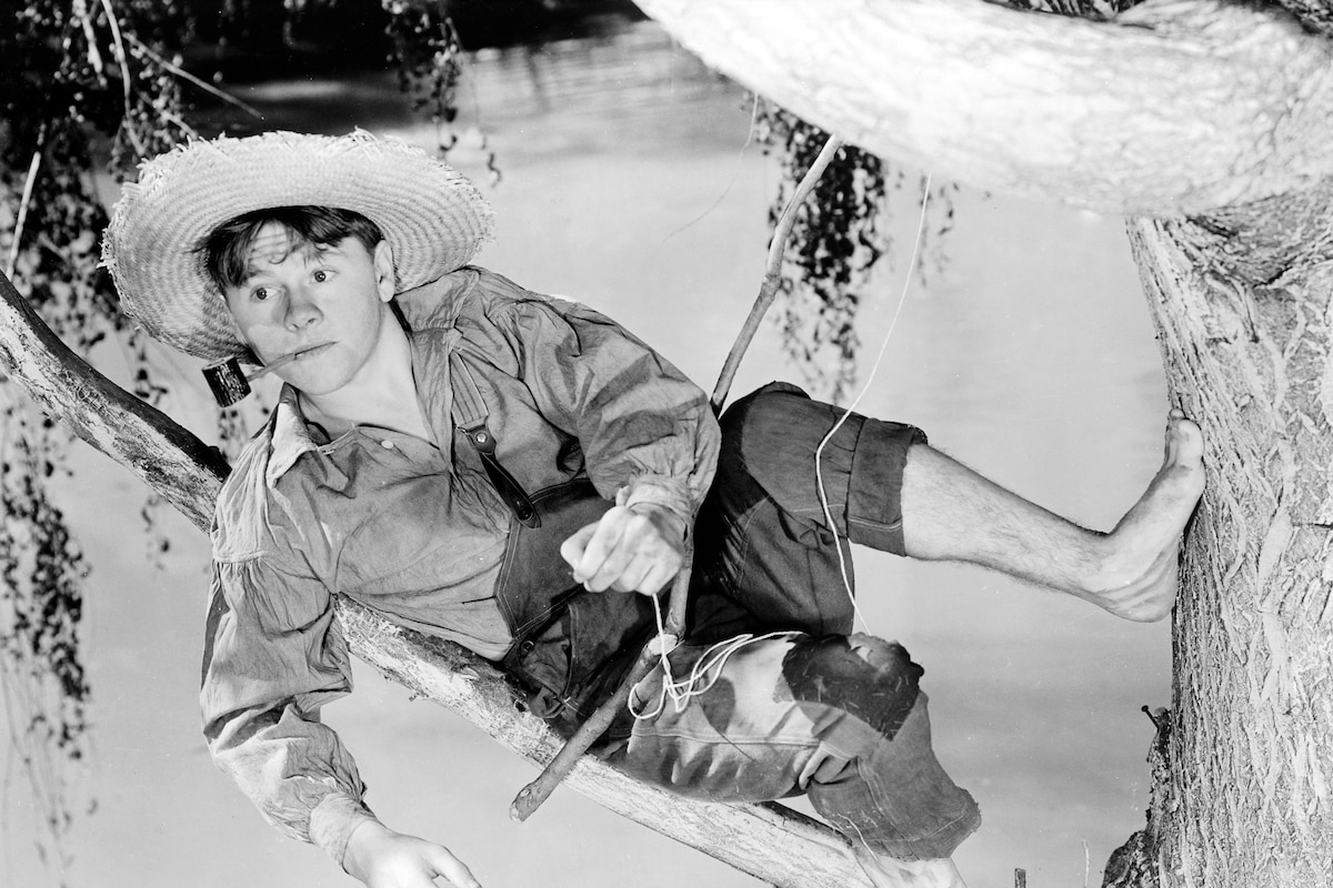 The Adventures of Huckleberry Finn