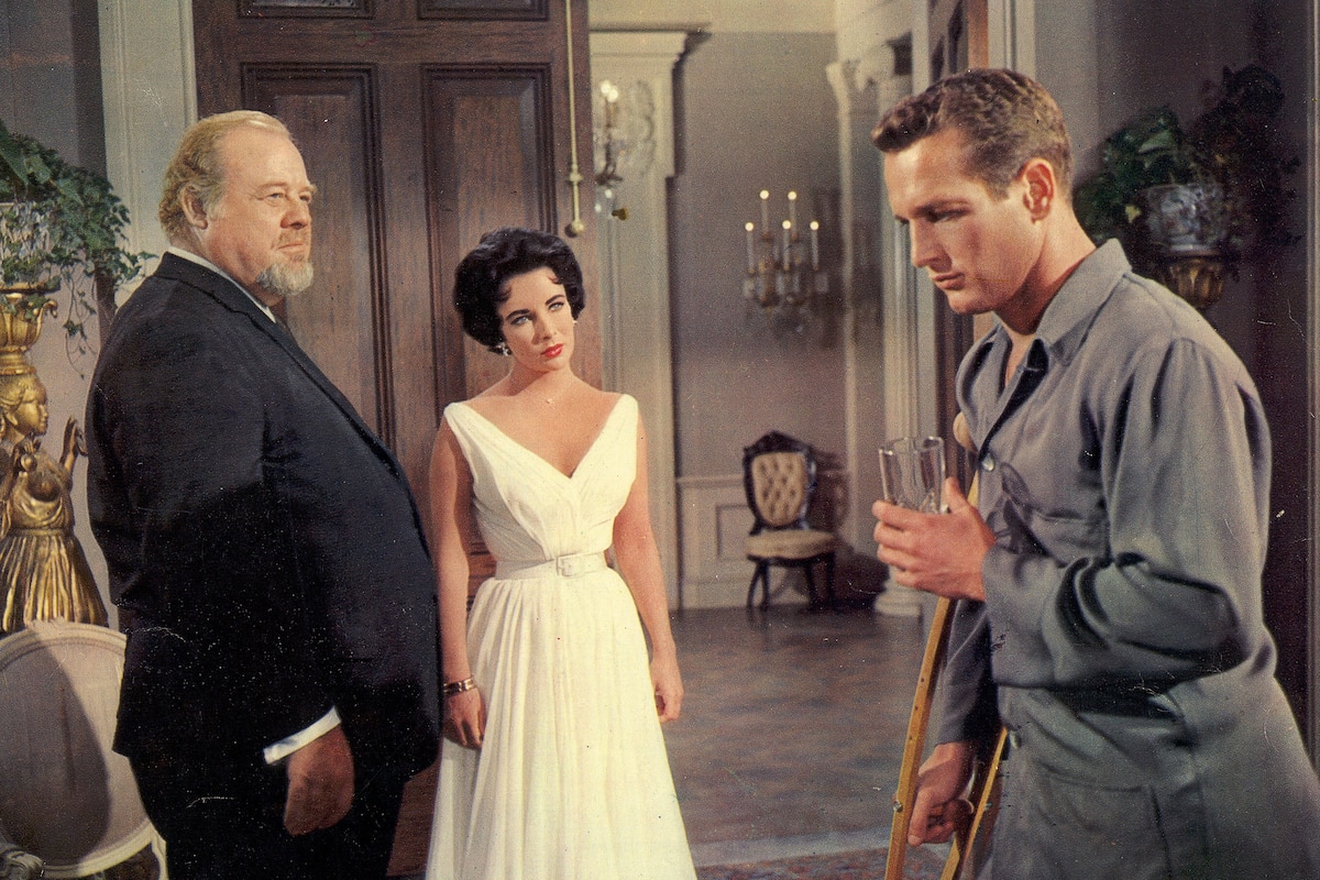 Cat on a Hot Tin Roof