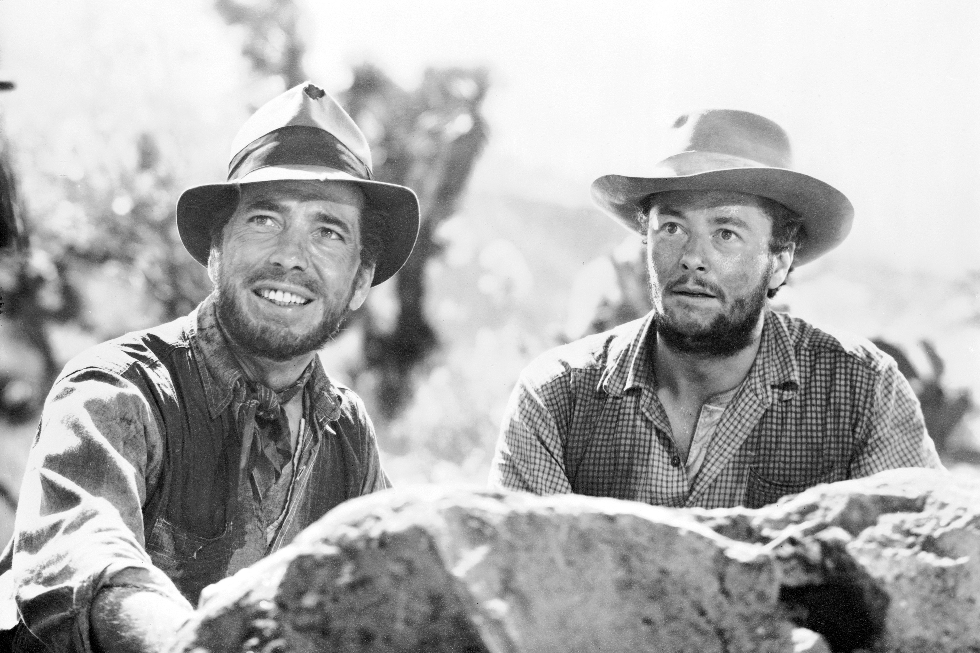The Treasure of the Sierra Madre