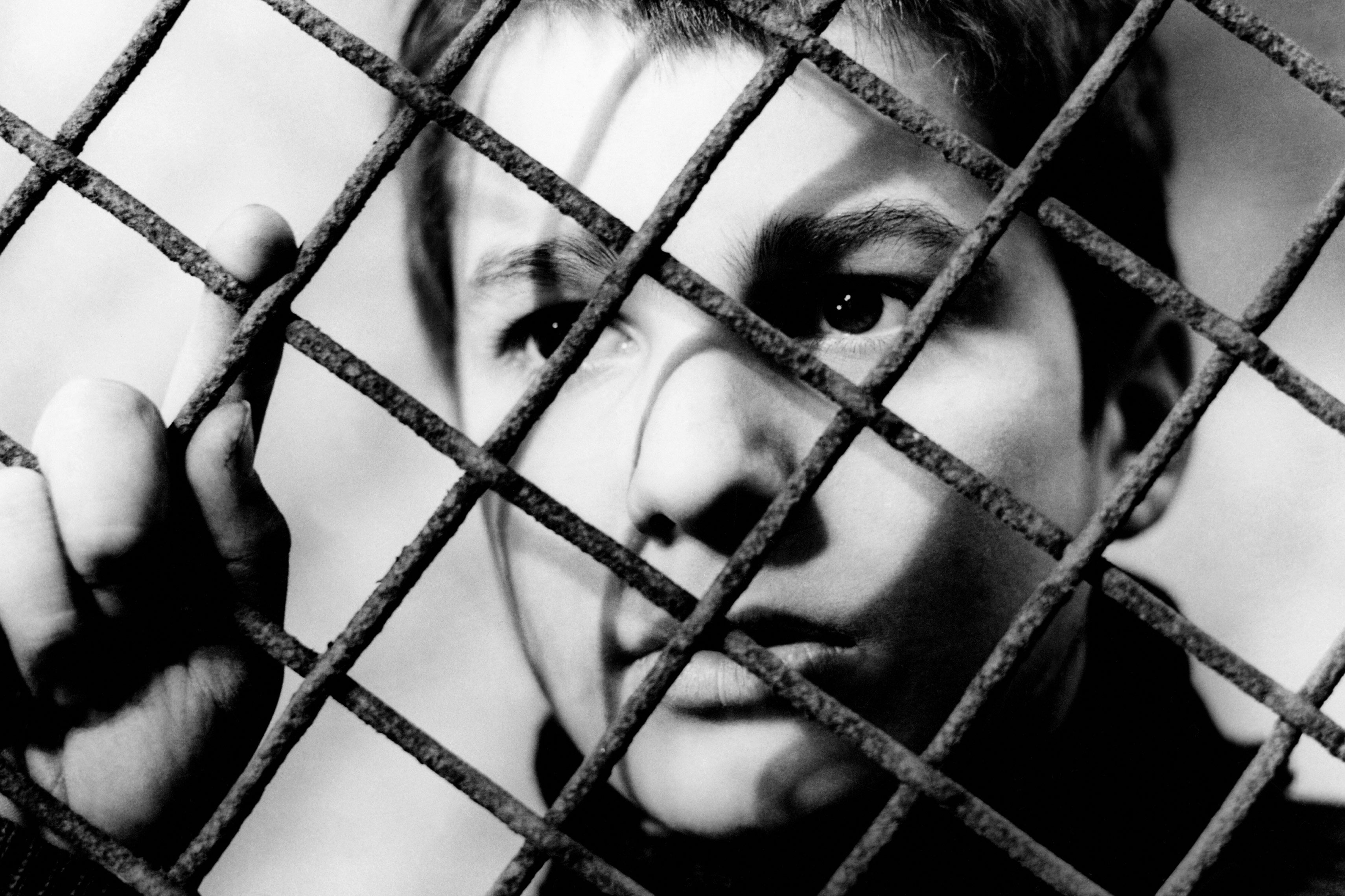 The 400 Blows