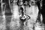 Louisiana Story