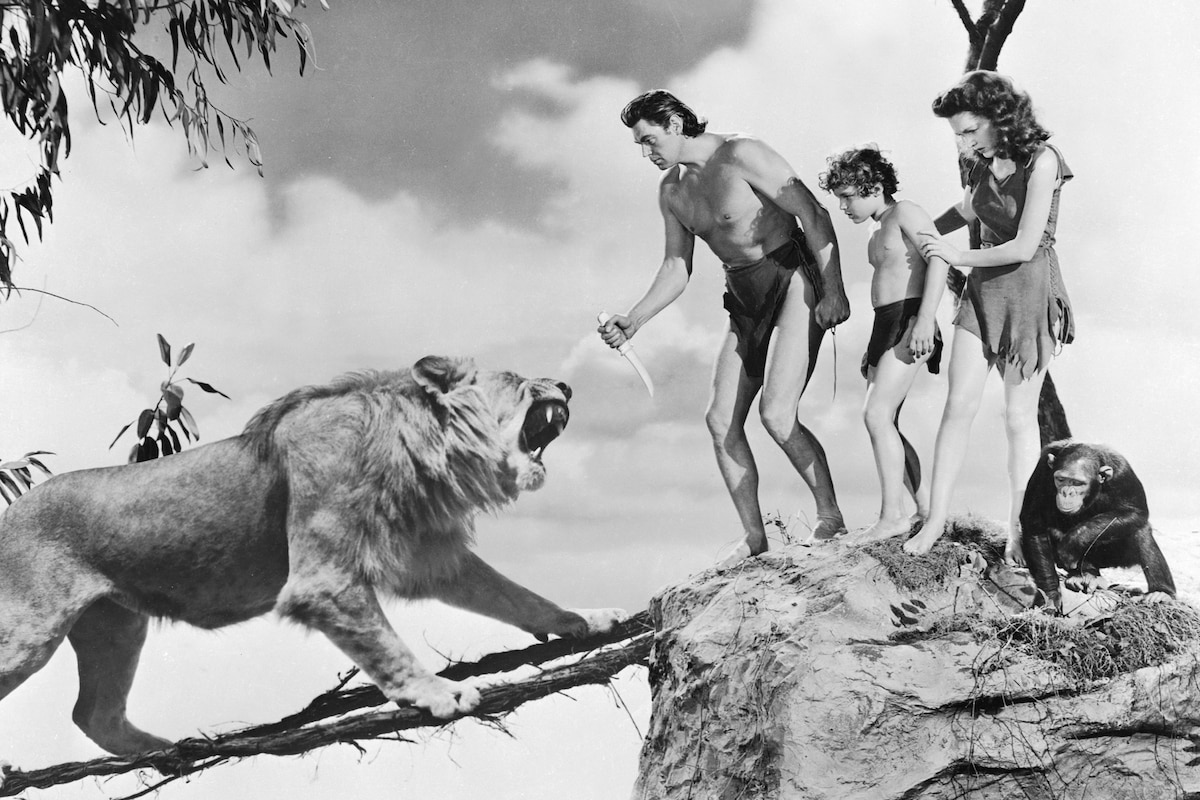 Tarzan's Secret Treasure