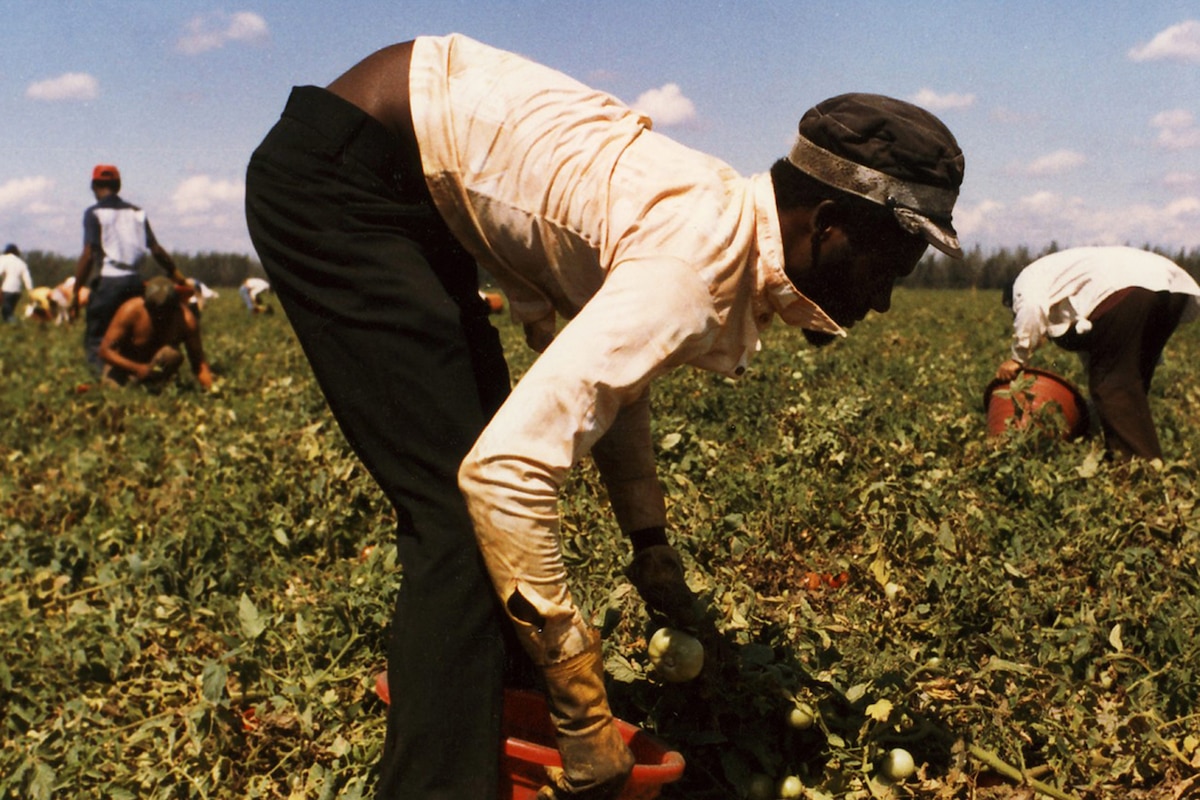 ...And the Pursuit of Happiness