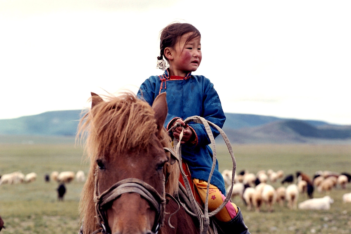 The Cave of the Yellow Dog