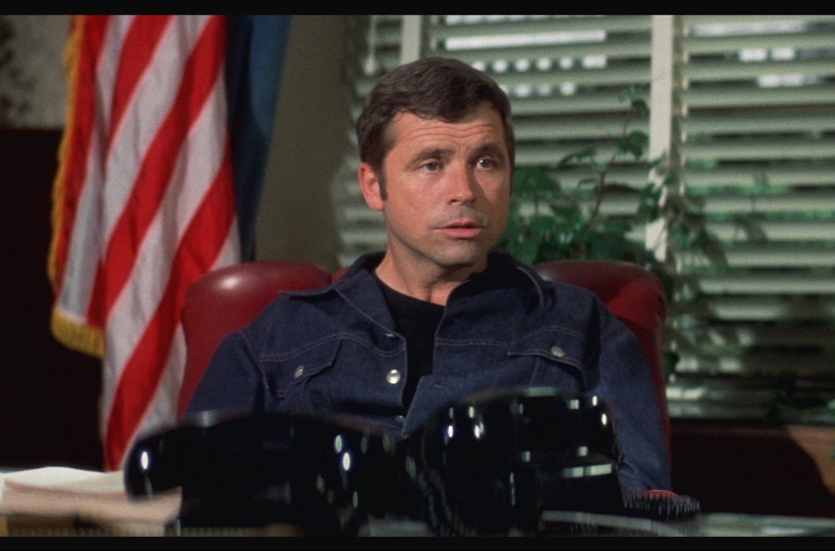 Billy Jack Goes to Washington