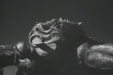 The Black Scorpion