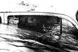 Carnival of Souls
