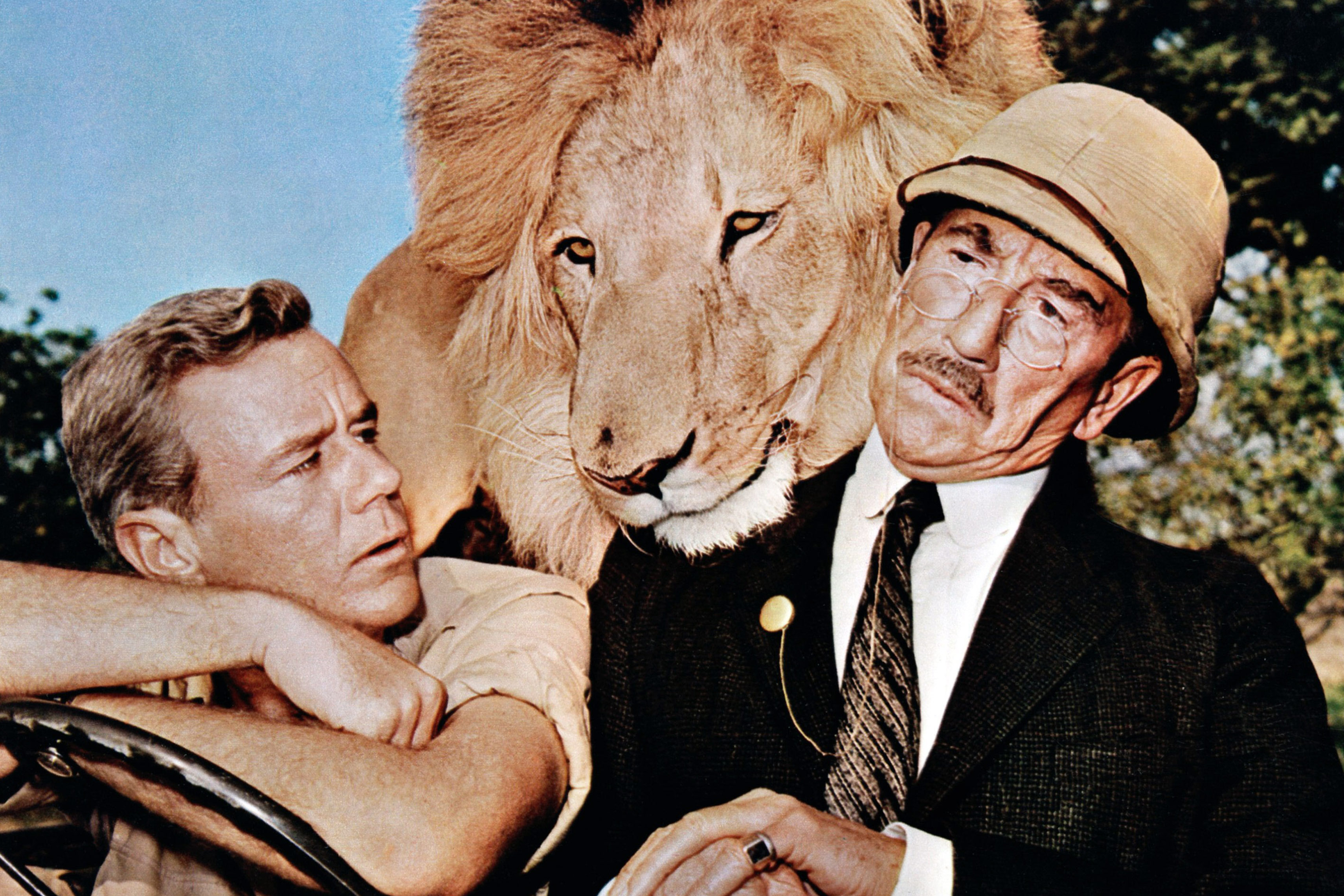 Clarence, The Cross-Eyed Lion