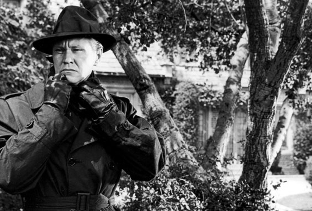 The Great Jewel Robber