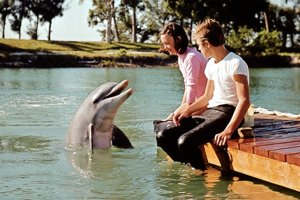 Flipper's New Adventure