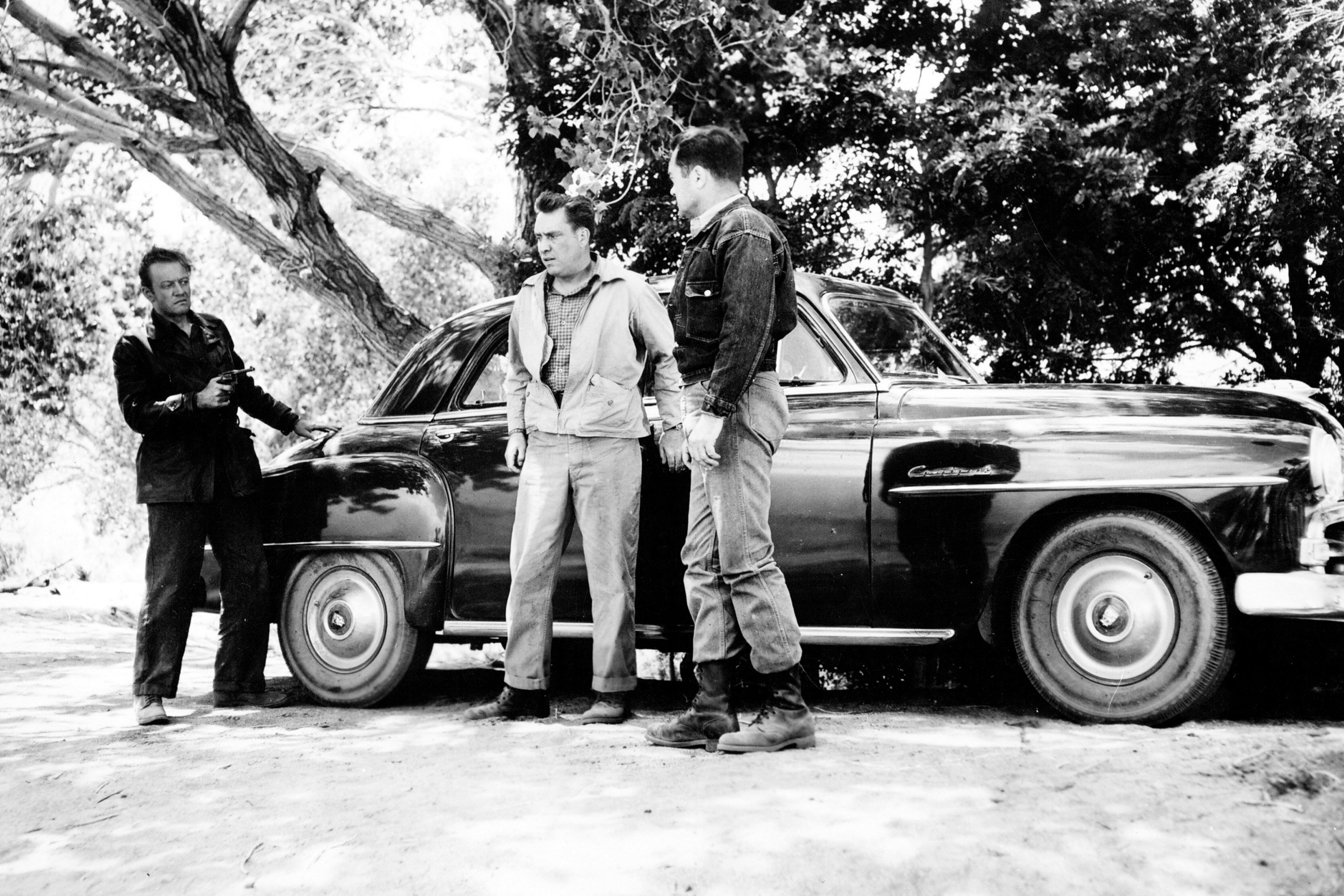 The Hitch-Hiker