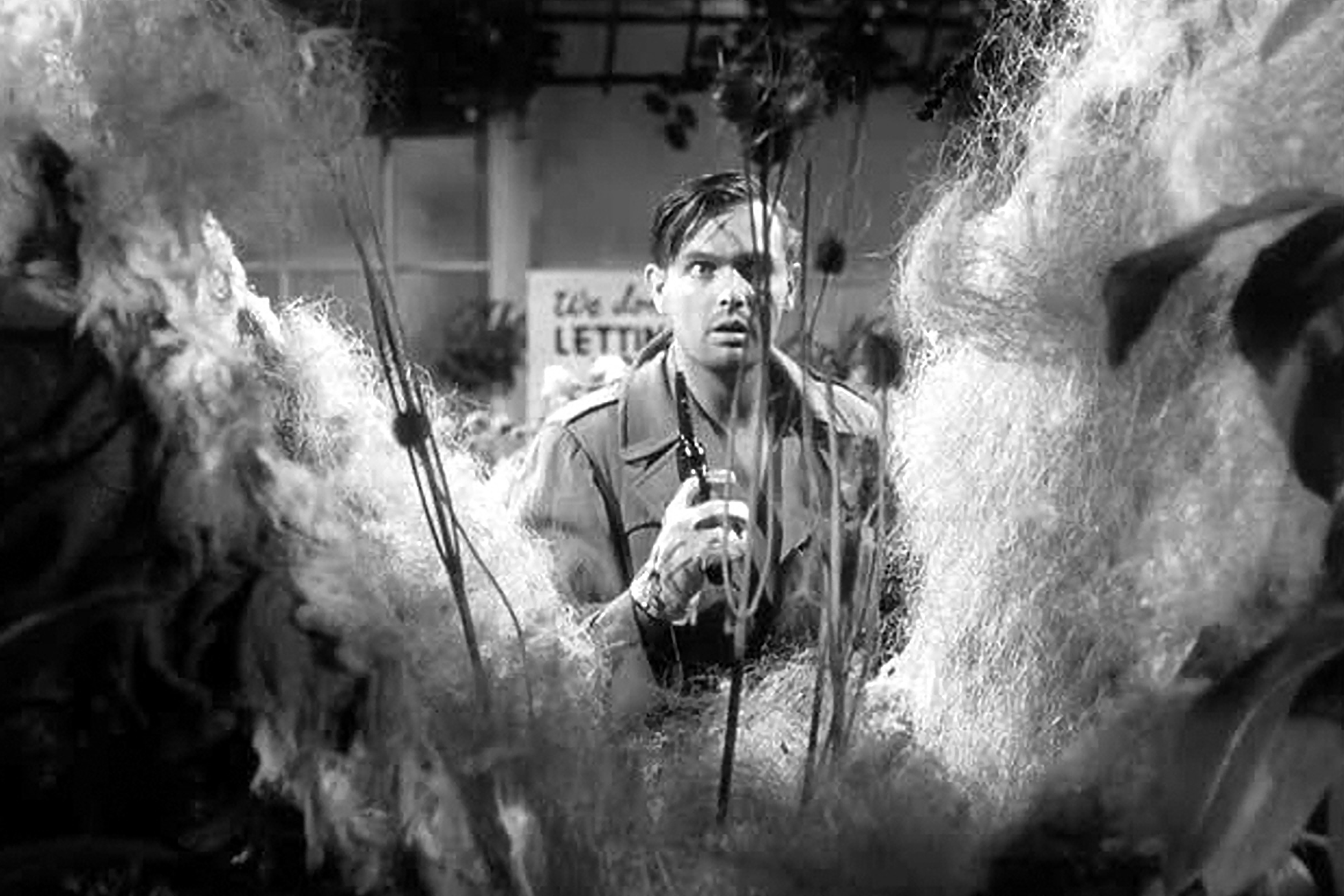 Little Shop of Horrors