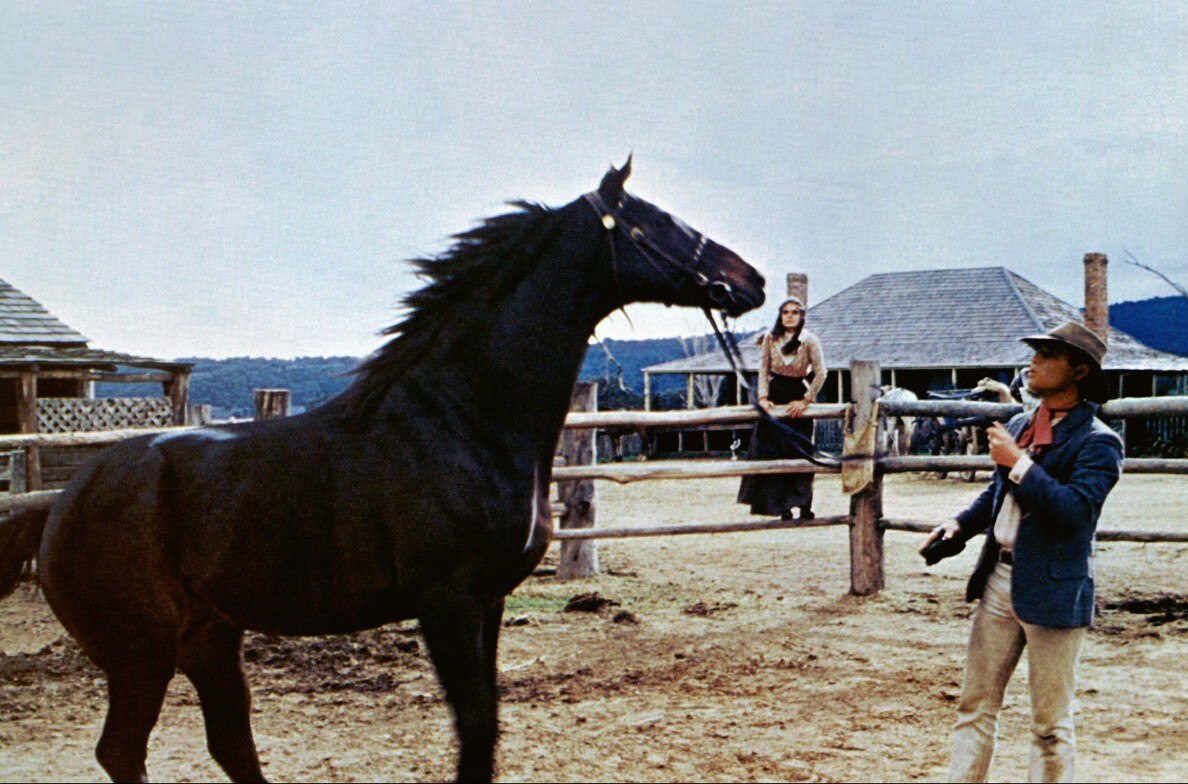 The Man From Snowy River