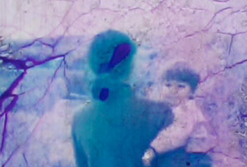 Free Radicals: A History of Experimental Film