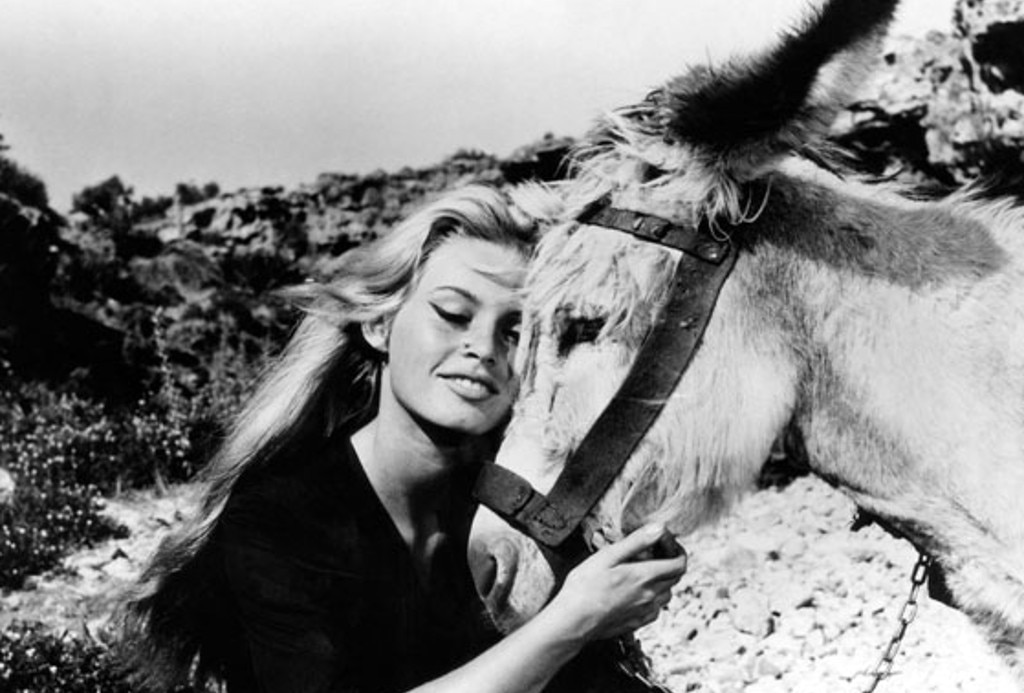 The Night Heaven Fell