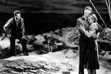 The Petrified Forest