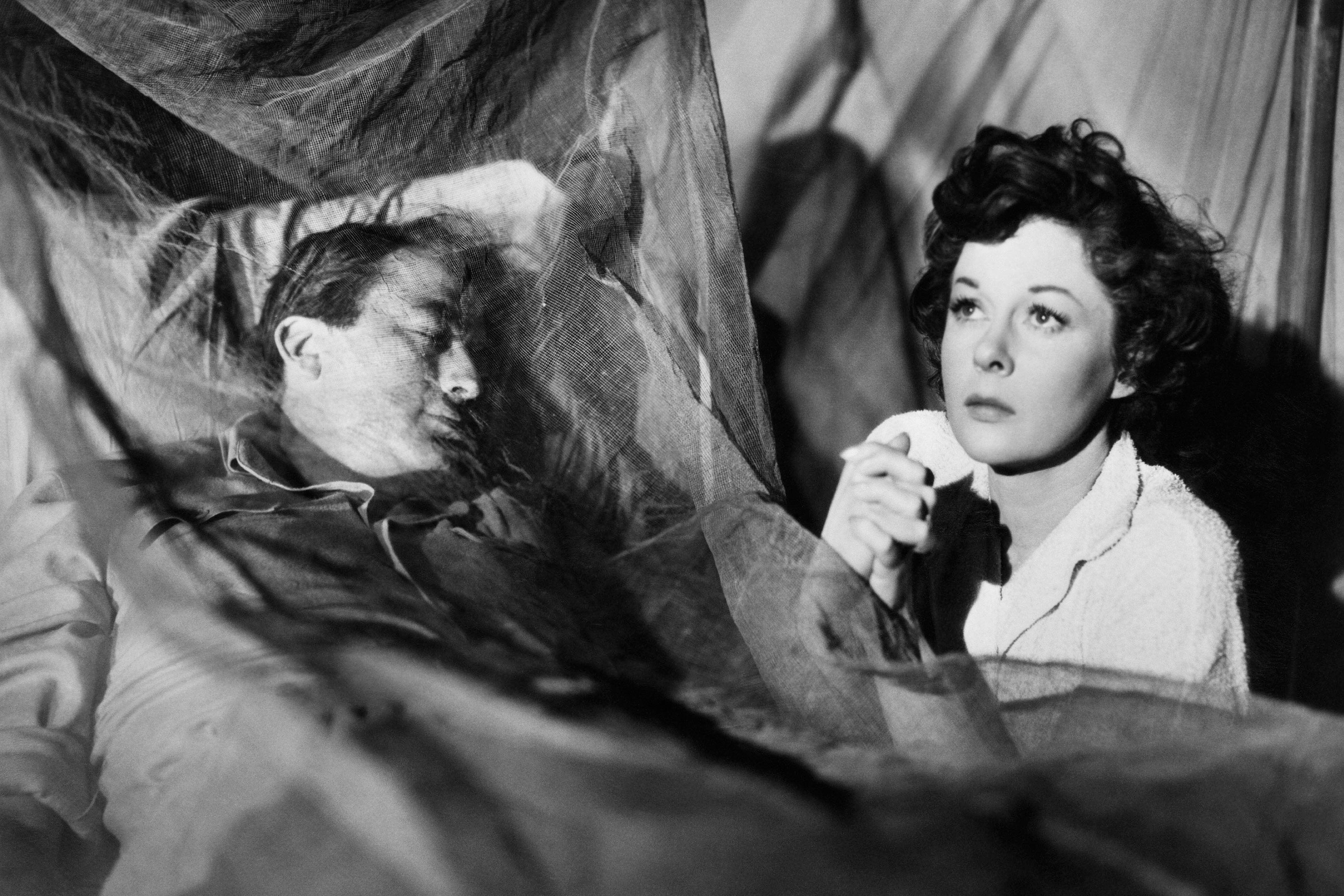 The Snows of Kilimanjaro