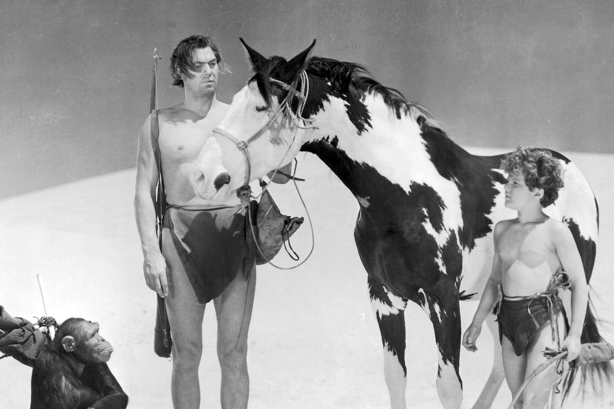 Tarzan's Desert Mystery