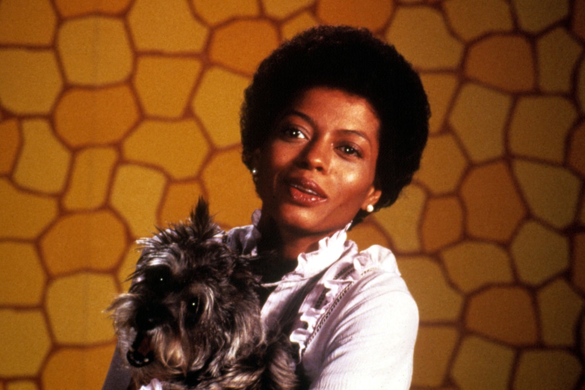 The Wiz