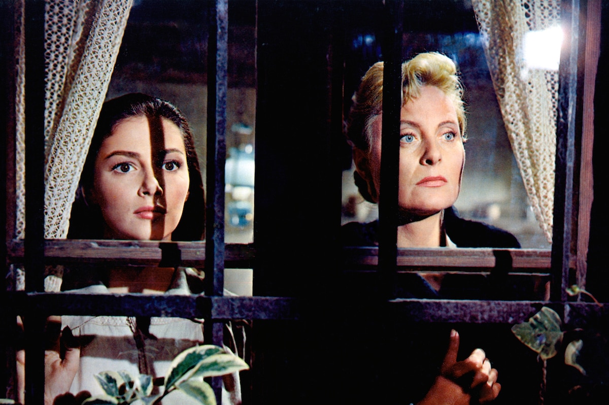 The Vintage  - The Vintage