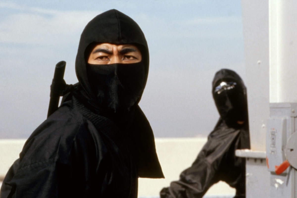 Revenge of the Ninja