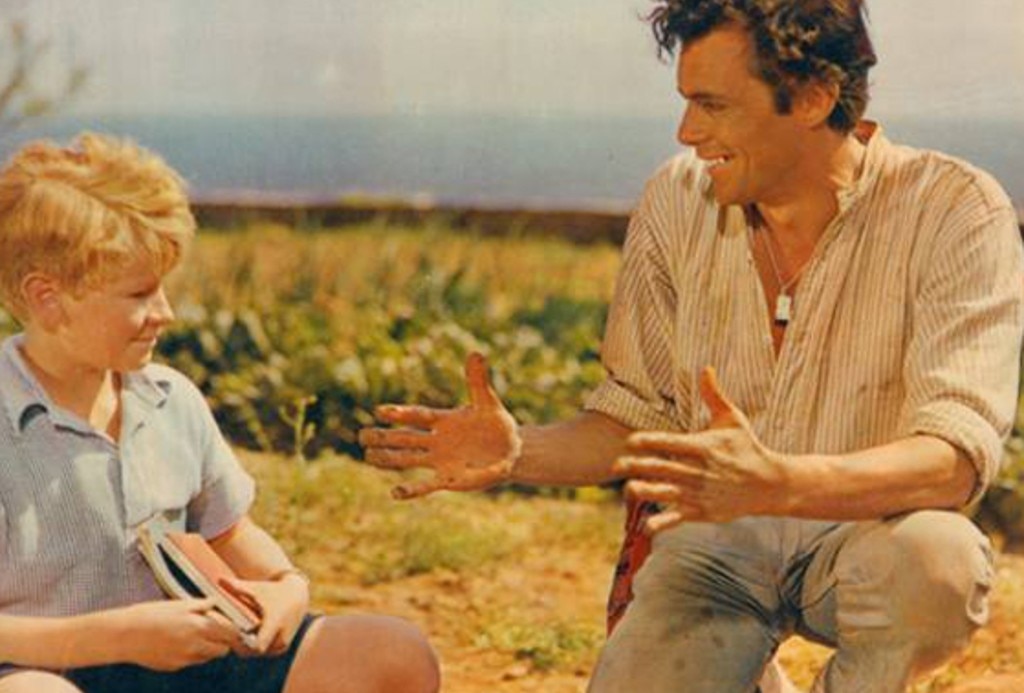 The Spanish Gardener