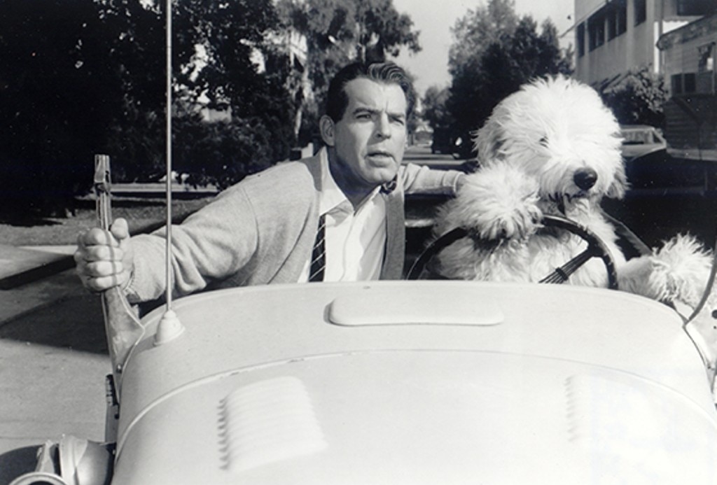 The Shaggy Dog (1959)