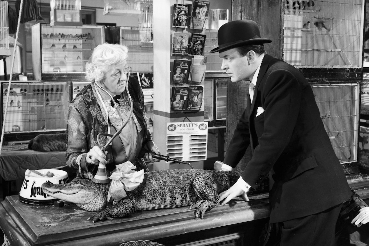 An Alligator Named Daisy