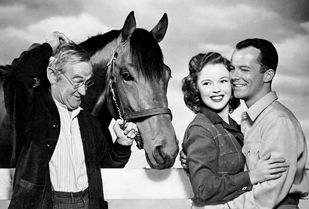The Story of Seabiscuit  (1949) - The Story of Seabiscuit