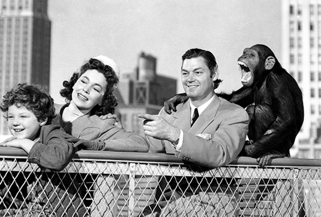 Tarzan's New York Adventure