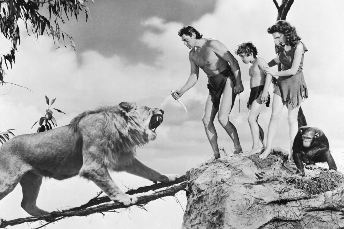 Tarzan's Secret Treasure