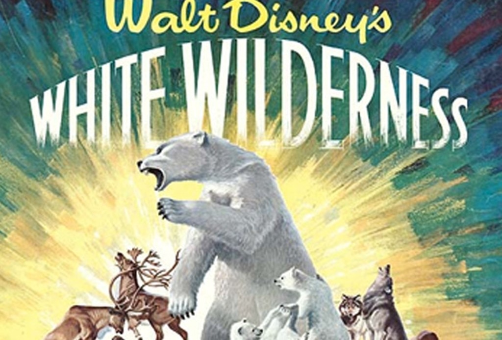 White Wilderness