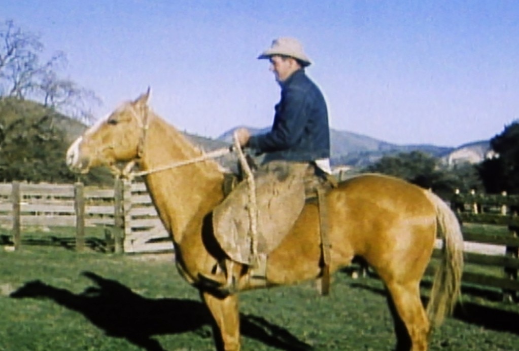 The Horse with the Flying Tail