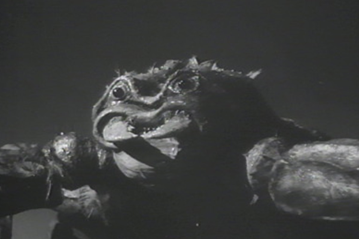 The Black Scorpion
