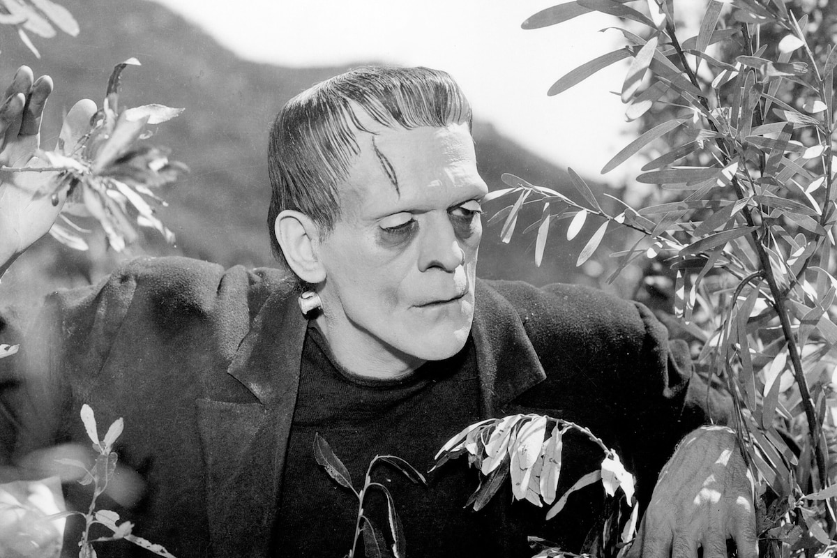 Frankenstein (1931)