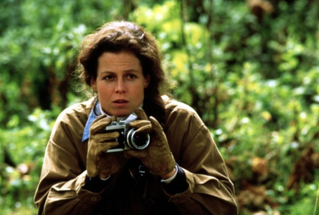 Gorillas in the Mist