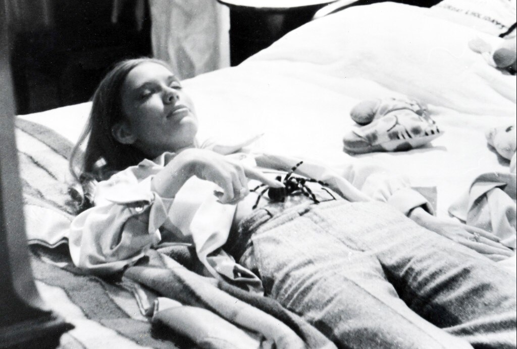 Kiss of the Tarantula