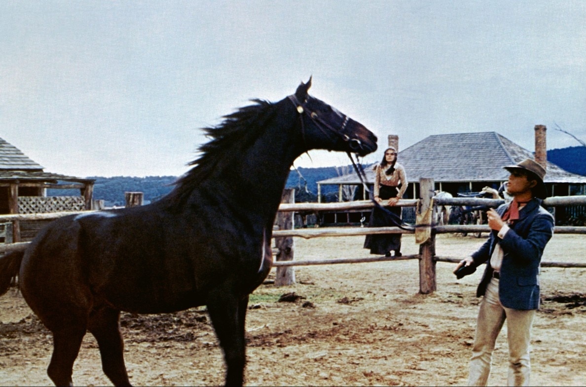 The Man from Snowy River