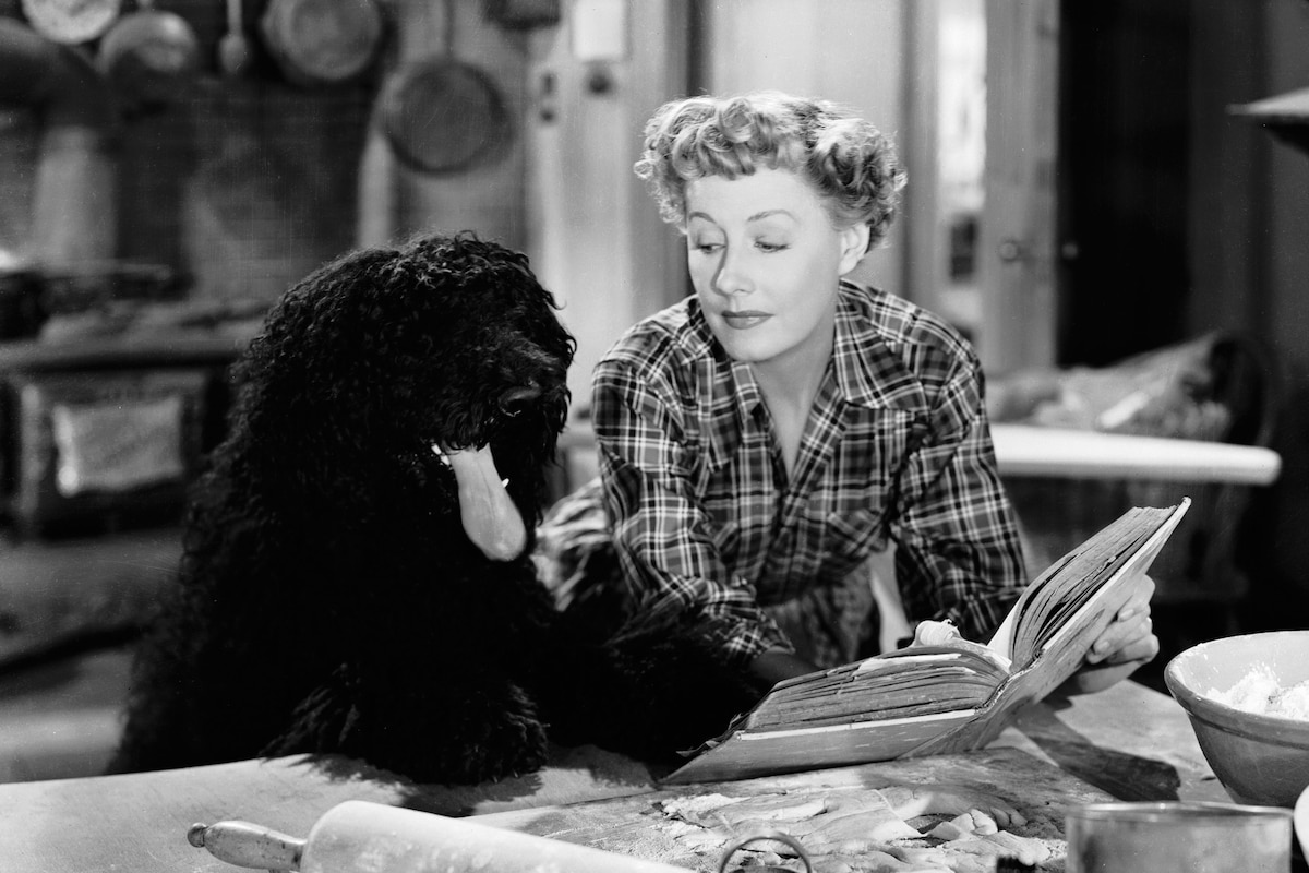 Never a Dull Moment (1950)