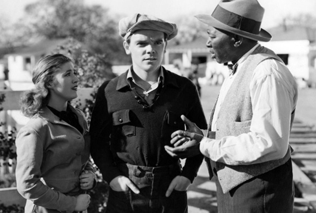 Pride of the Blue Grass