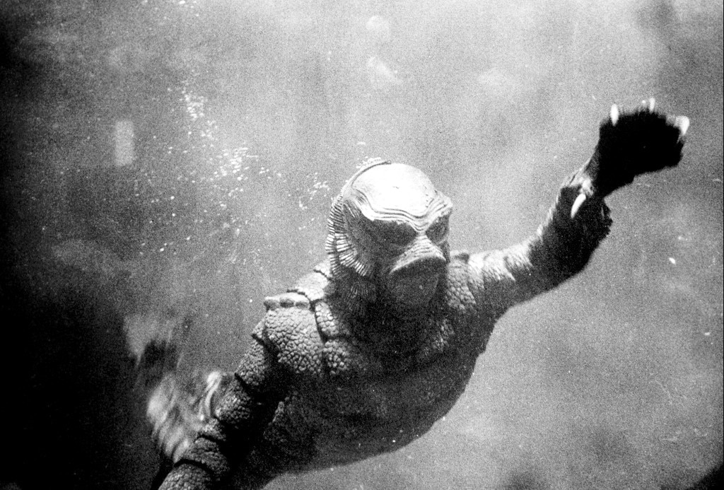 Revenge of the Creature