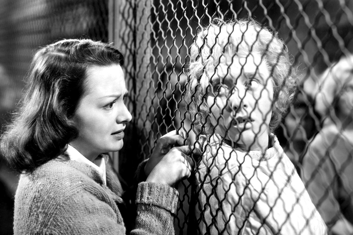 Trivia - The Snake Pit - Trivia & Fun Facts About THE SNAKE PIT